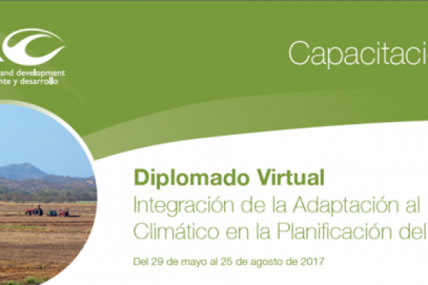Diplomado Virtual